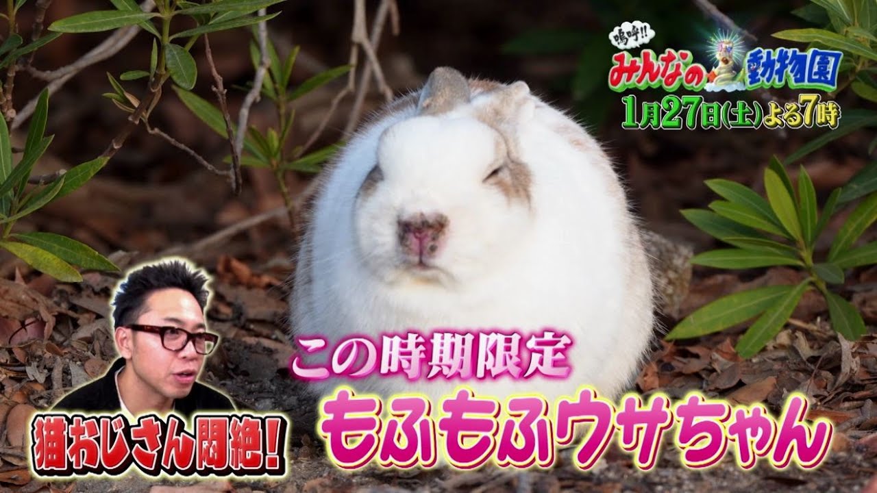 「嗚呼!!みんなの動物園」1月27日土曜よる7時放送【相葉トリミングにヒロミさん参戦！】過去最高難易度のワンちゃんを2人で大変身！