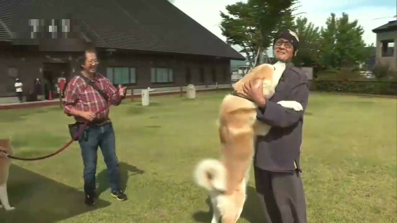 305 週目 秋田県