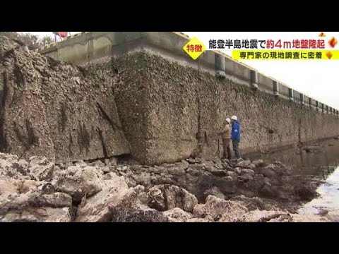 1分間で約4m隆起か…能登半島地震での地殻変動量を大学准教授が調査 港の復興「東日本の時以上に大変」 (2024/01/16 01:12)