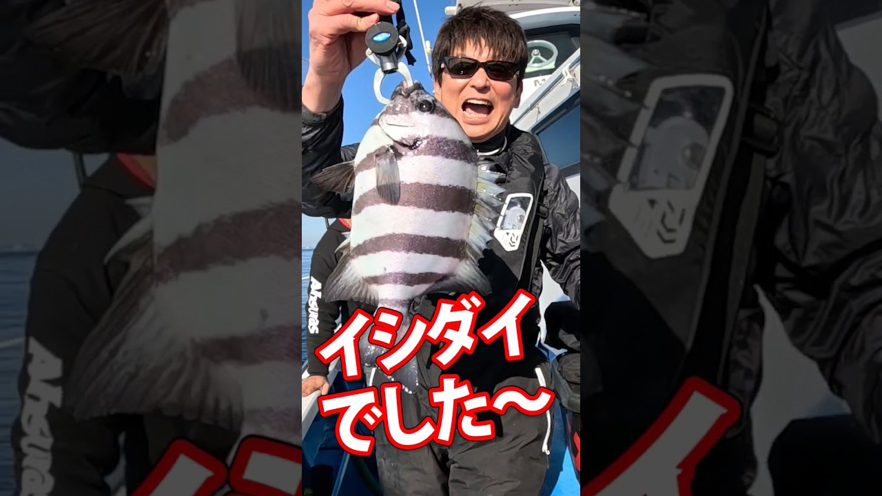 哀川翔の奇跡【マダイ狙ってイシダイだぁ～】千葉富浦・共栄丸 #哀川翔  #釣り #ニッカン釣りちゃん