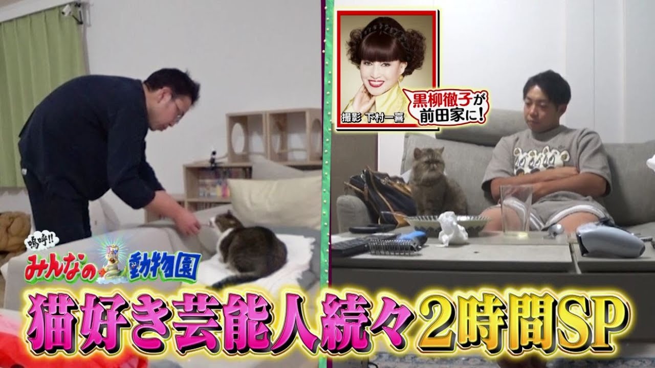 「嗚呼!!みんなの動物園」2月17日土曜よる7時から放送！2時間SP！サンシャイン池崎家に猫好き俳優さん&ティモンディ前田家に黒柳徹子が訪問！相葉トリミングにはヒロミが再参戦！