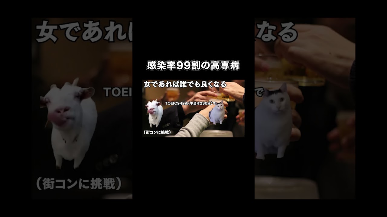 【猫ミーム】恐ろしすぎる高専病の実態 #猫ミーム #豆知識 #雑学　#猫マニ