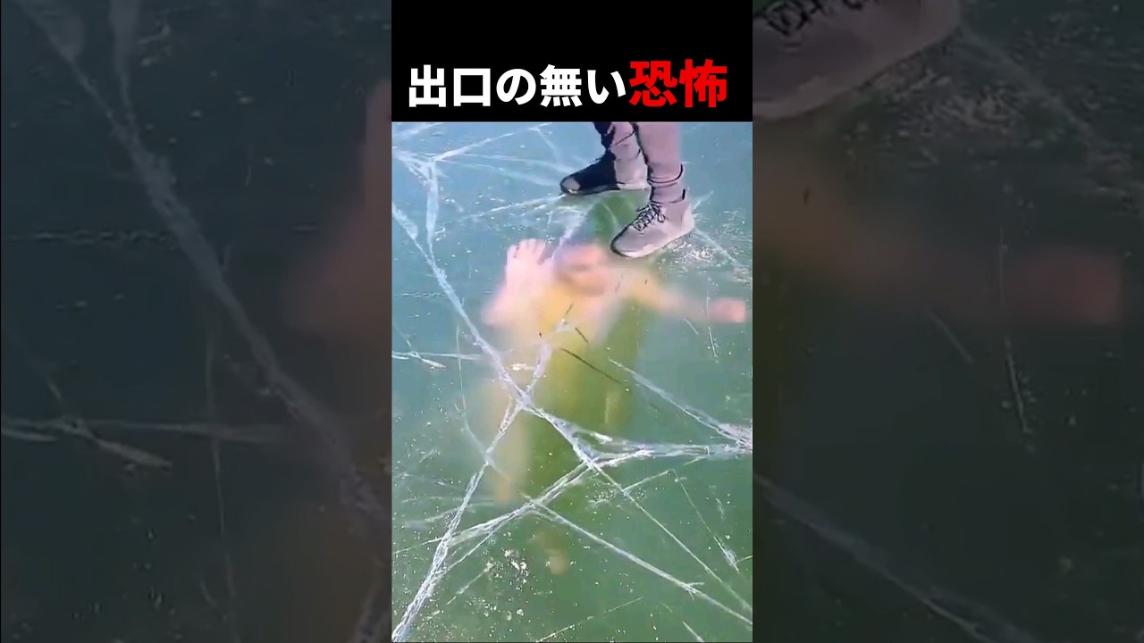 生命保険