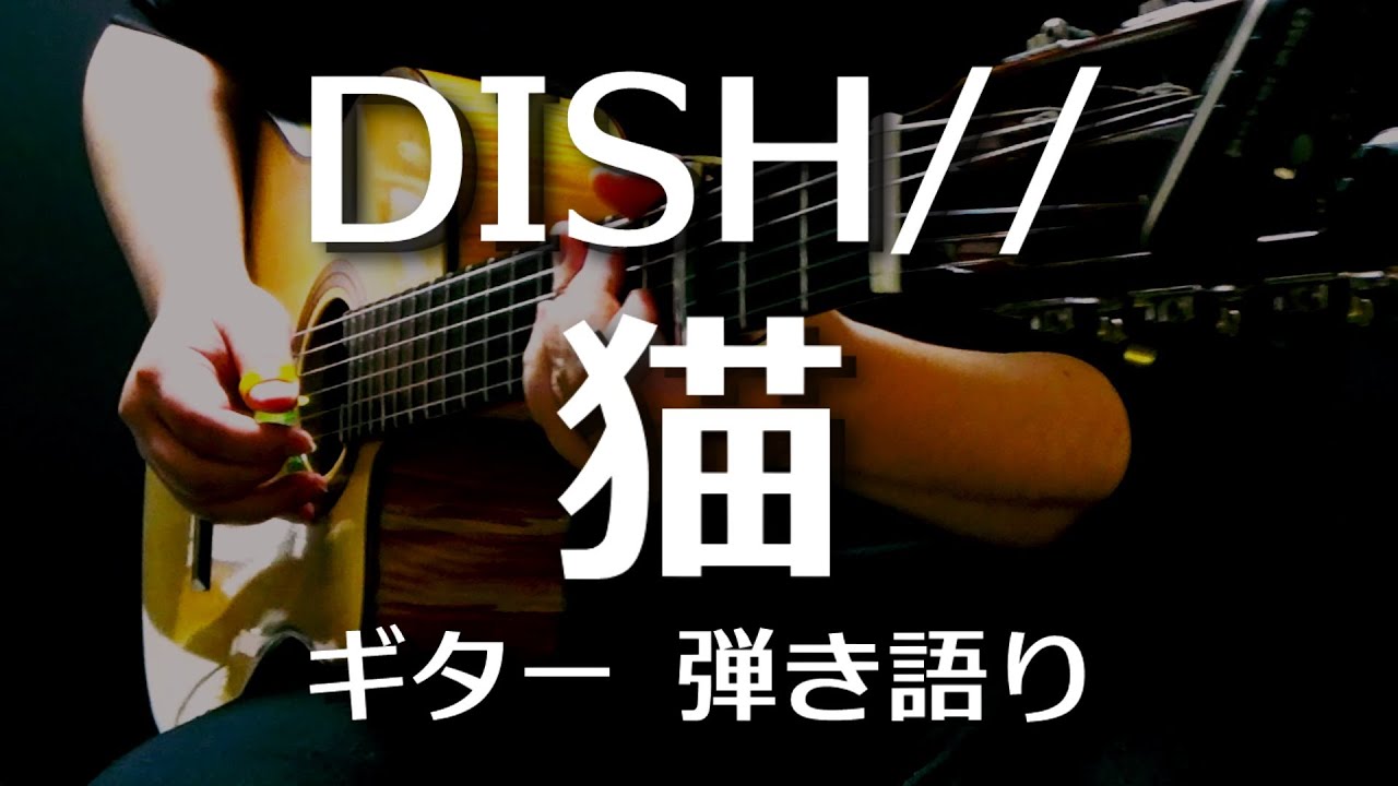 【ギター弾き語り】猫 / DISH// 北村匠海 （Cover by hidemisong）