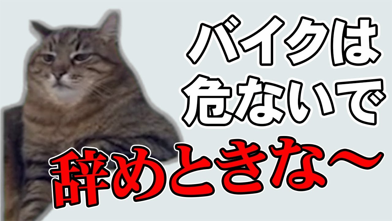 【猫ミーム】友人のバイク免許取得を辞めさせようとした結果… #猫マニ