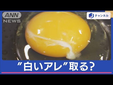たまごの“白いアレ” 取ったほうがいい？1万人調査 専門家にも聞いてみた！【スーパーJチャンネル】(2024年2月20日)
