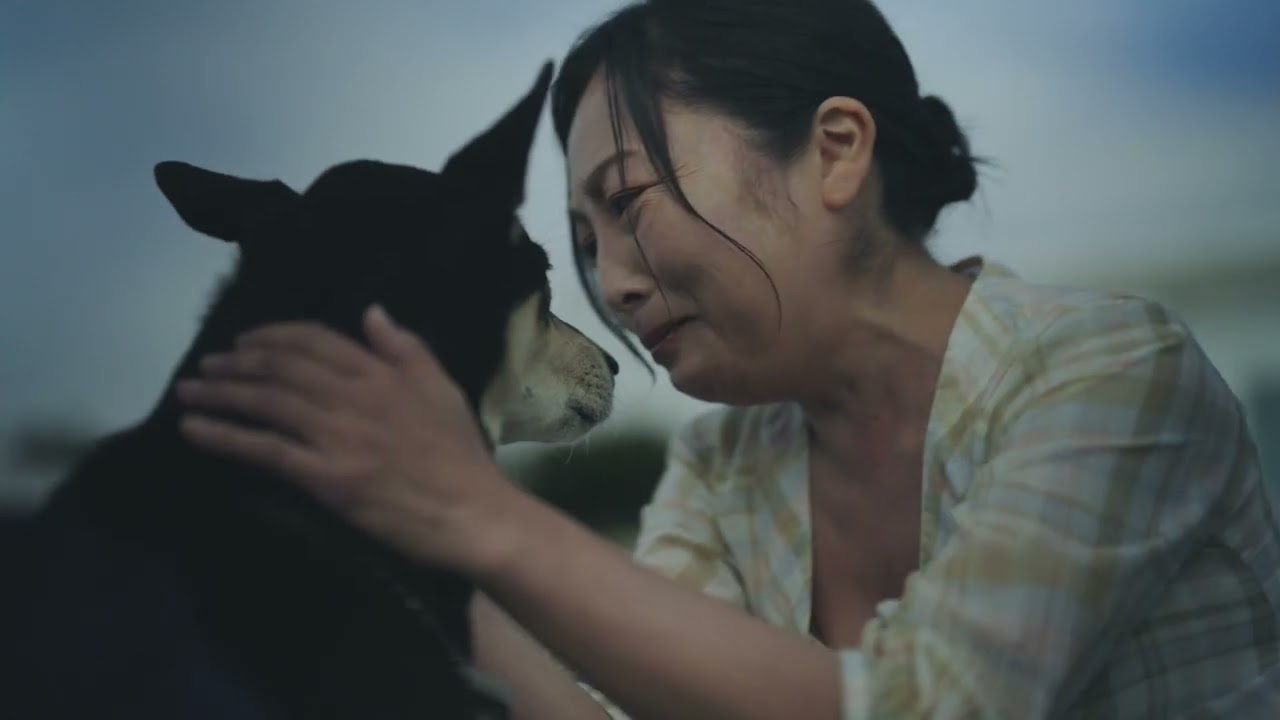 『宮古島物語ふたたヴィラ 再会ぬ海』予告編