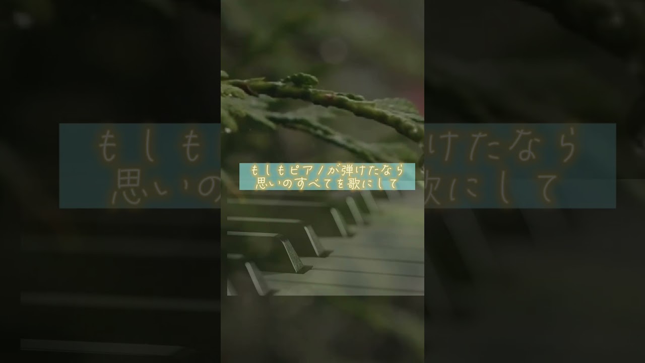 #雨 #piano #japanesesong #うたスキ動画 #もしもピアノが弾けたなら#shorts#西田敏行