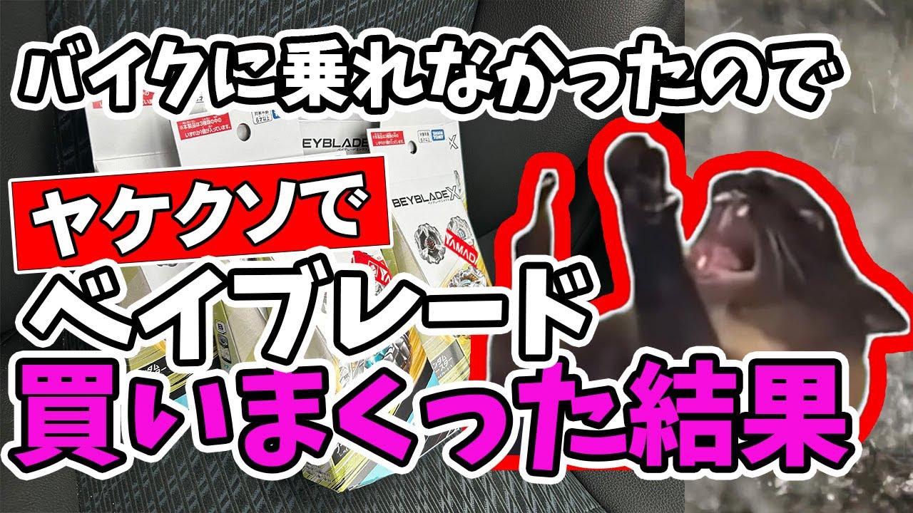 バイクに乗れなかったり仕事忙しかったりでヤケを起こして爆買いした結果… #猫ミーム #ベイブレード #バイク女子