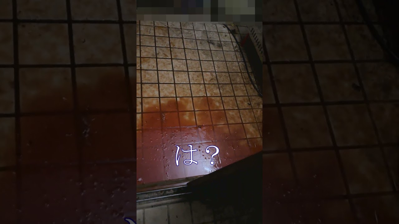 本当にある事故物件の日常#shorts