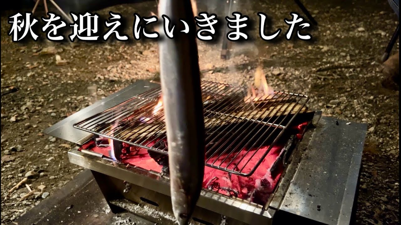 高級秋刀魚を喰らう