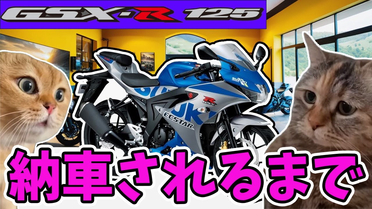 GSX-R125が納車されるまで #猫ミーム #猫マニ #バイク女子