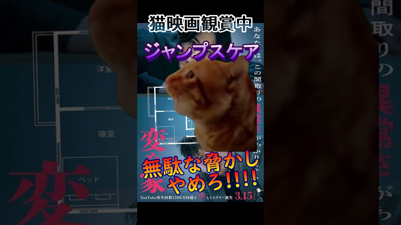 映画素人の1分間感想！雨穴さんが送るベストセラーミステリーが映画化【変な家】#shorts #映画感想 #映画紹介 #おすすめ #猫ミーム