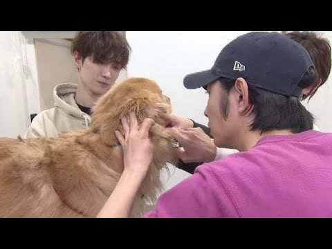 Snow Man渡辺翔太、相葉雅紀から“衝撃発言”暴露される