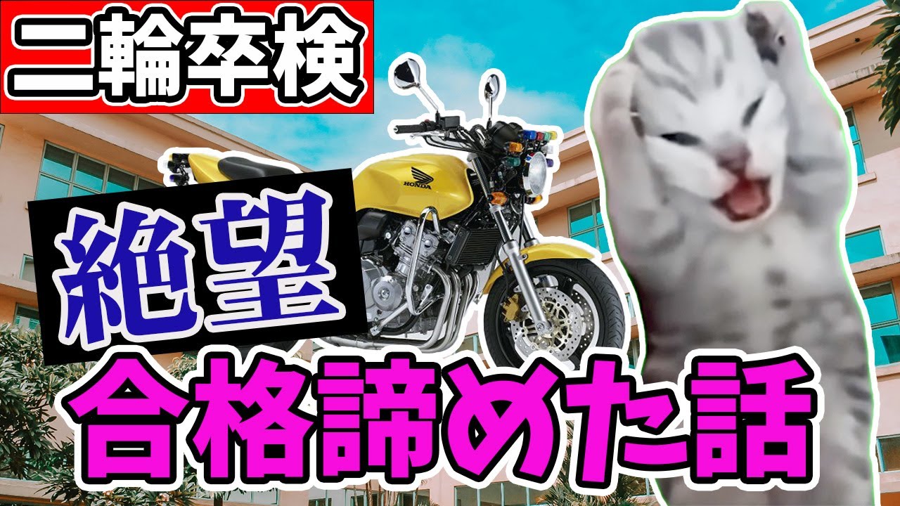 【絶望】卒検合格を諦めた話 #猫ミーム #猫マニ #バイク女子