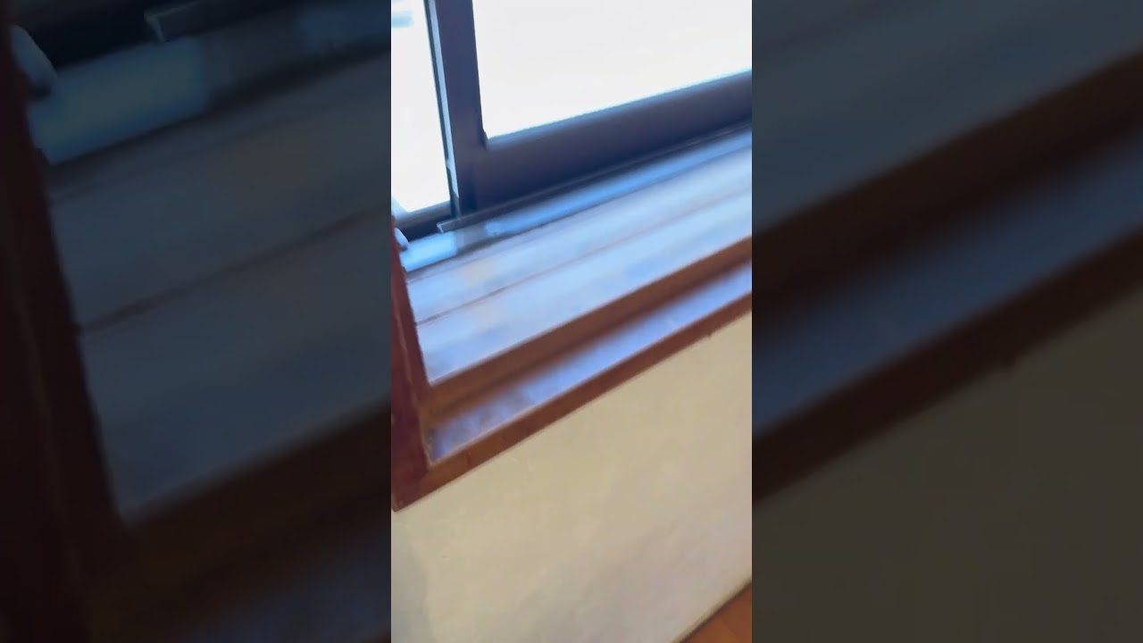 ドラマ裏切り飯で放映された奥多摩の名店卵道で見つけたドラマ出演者の色紙