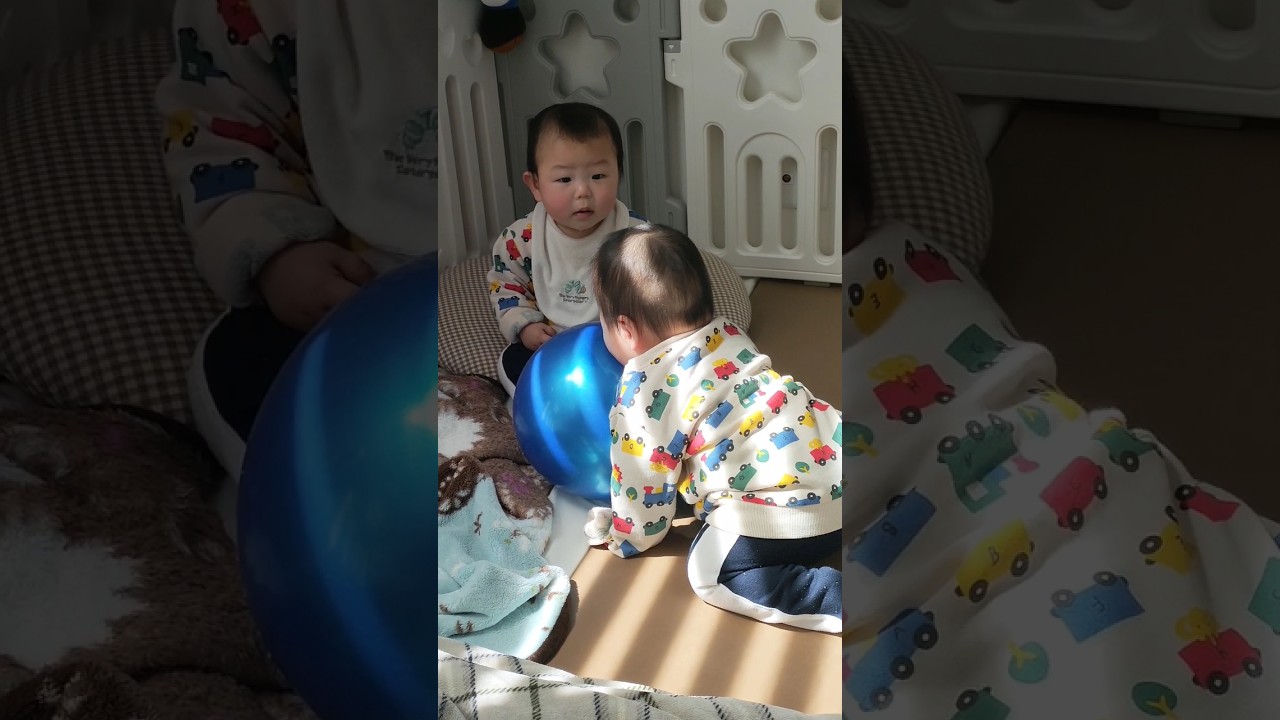 サポートをする弟、そして遠吠えする兄#shorts