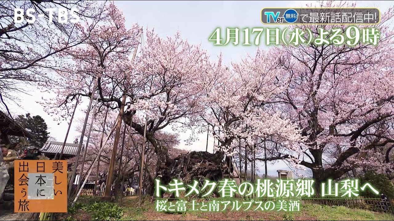 春の山梨へ…富士山・五重塔・桜が織りなす絶景！南アルプスの美酒、樹齢2千年の桜も「美しい日本に出会う旅」4/17(水)よる9時