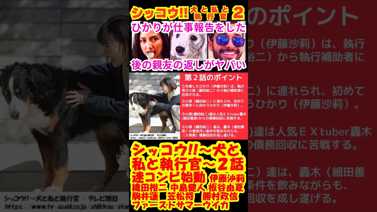【シッコウ!!〜犬と私と執行官〜2話】迷コンビ始動!!【ポイントまとめ】【伊藤沙莉】【織田裕二】【中島健人】【板谷由夏】【駒井蓮】 #shorts #伊藤沙莉 #織田裕二 #中島健人 #板谷由夏