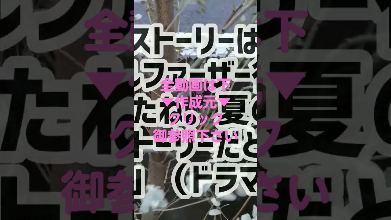 真夏の月9ラブストーリー目黒蓮シングルファーザー役ビーチボーイズ