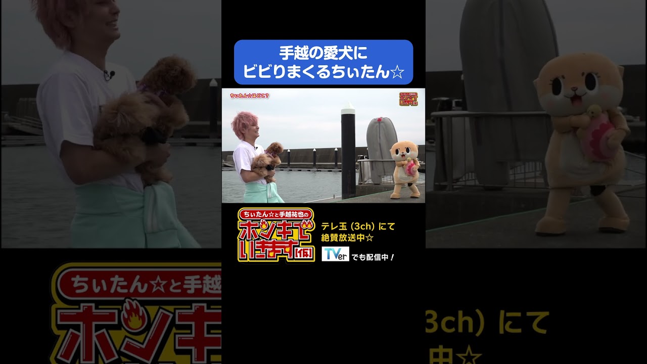 番組を乗っ取られかけました...#shorts #手越祐也
