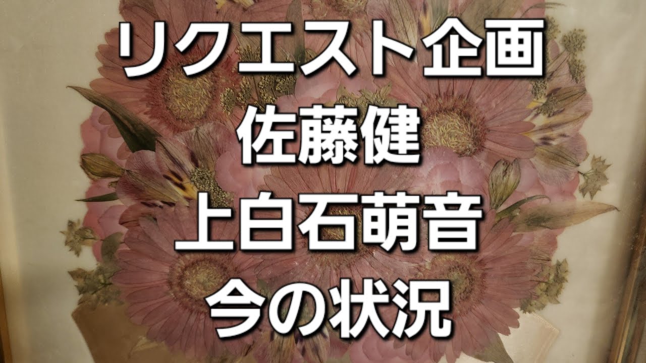 リクエスト企画　佐藤健と上白石萌音今の状況をタロットでみた