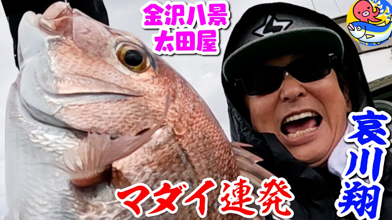 【哀川翔マダイ爆釣】秘策はガン玉＆落とし込み!!東京湾乗っ込み始まったぞ【金沢八景・太田屋】