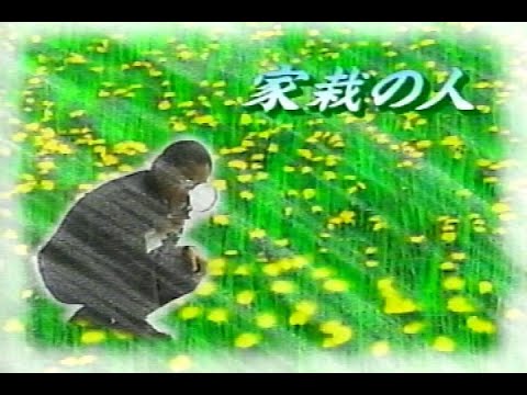 家栽の人【画質修正版】　片岡鶴太郎　仙道敦子　風間トオル　他
