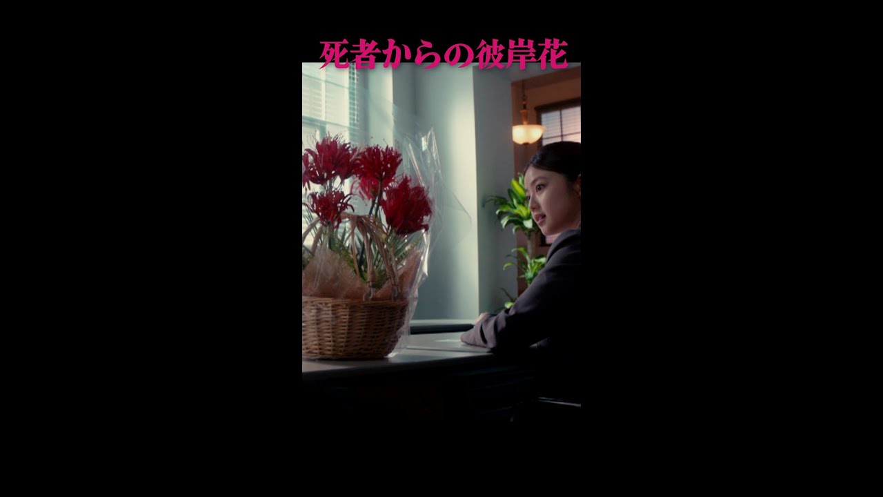 死者からの彼岸花・・・明かされる死の真相！　第8話予告！6月1日（土）よる9時放送 #shorts