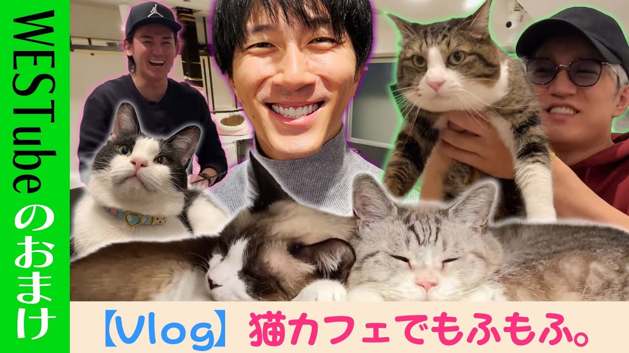 WEST. 【神ちゃんVlog企画🐱】猫カフェで“モフモフ”しよ？ 13/100