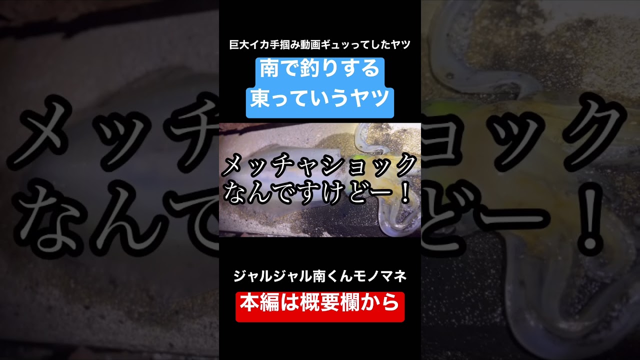 巨大イカ手掴み動画ギュッってしたヤツ【ジャルジャル南くん】【モノマネ】 #ジャルジャル #南っていう奴 #沖縄釣り#エギング