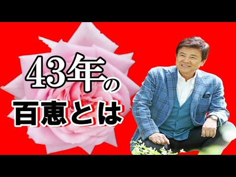【43年の相性】私には百恵とは素晴らしく相性の合う女性なんです。#三浦友和と山口百恵の相性