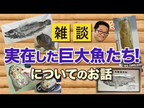 実在した巨大魚たちについてのお話！【雑談動画その27】