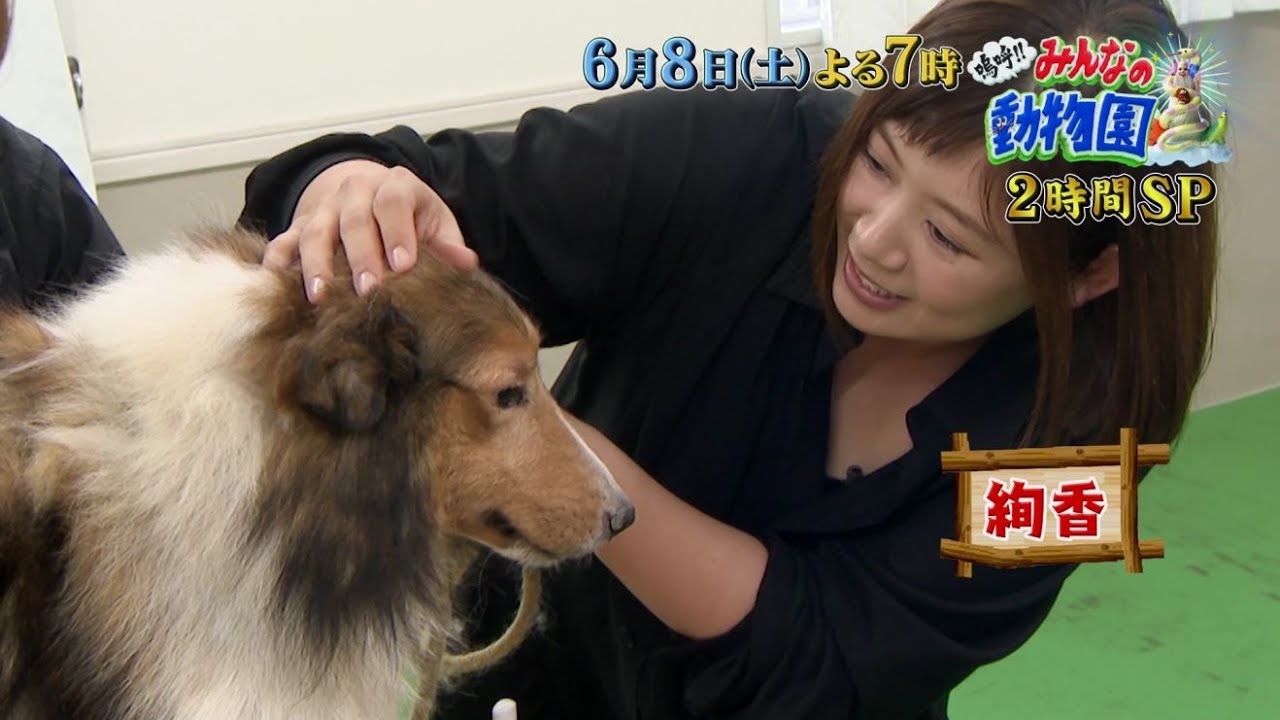 「嗚呼!!みんなの動物園」6月8日土曜よる7時放送【池崎一門・大集合2時間SP!!】相葉トリミングには絢香さん参戦で、保護犬をキレイに！
