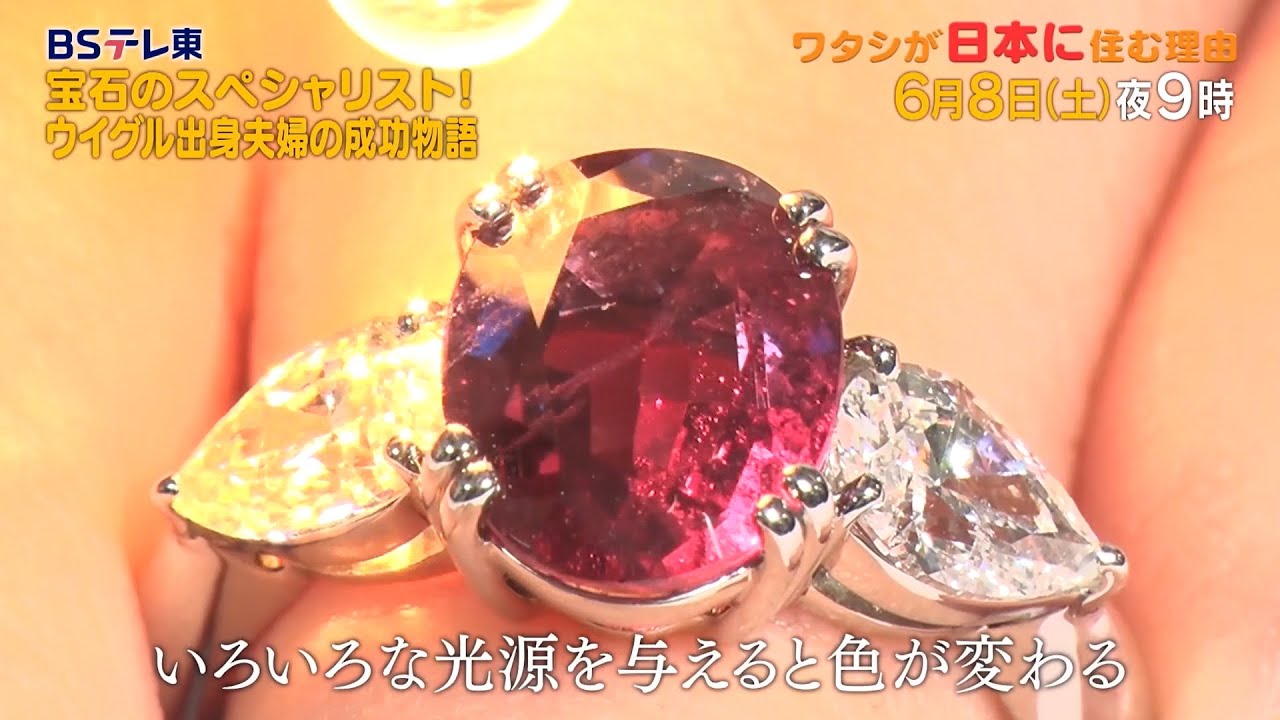 予告　ワタシが日本に住む理由「月1万円生活から高層タワマンへ！シルクロード夫婦」 | ＢＳテレ東