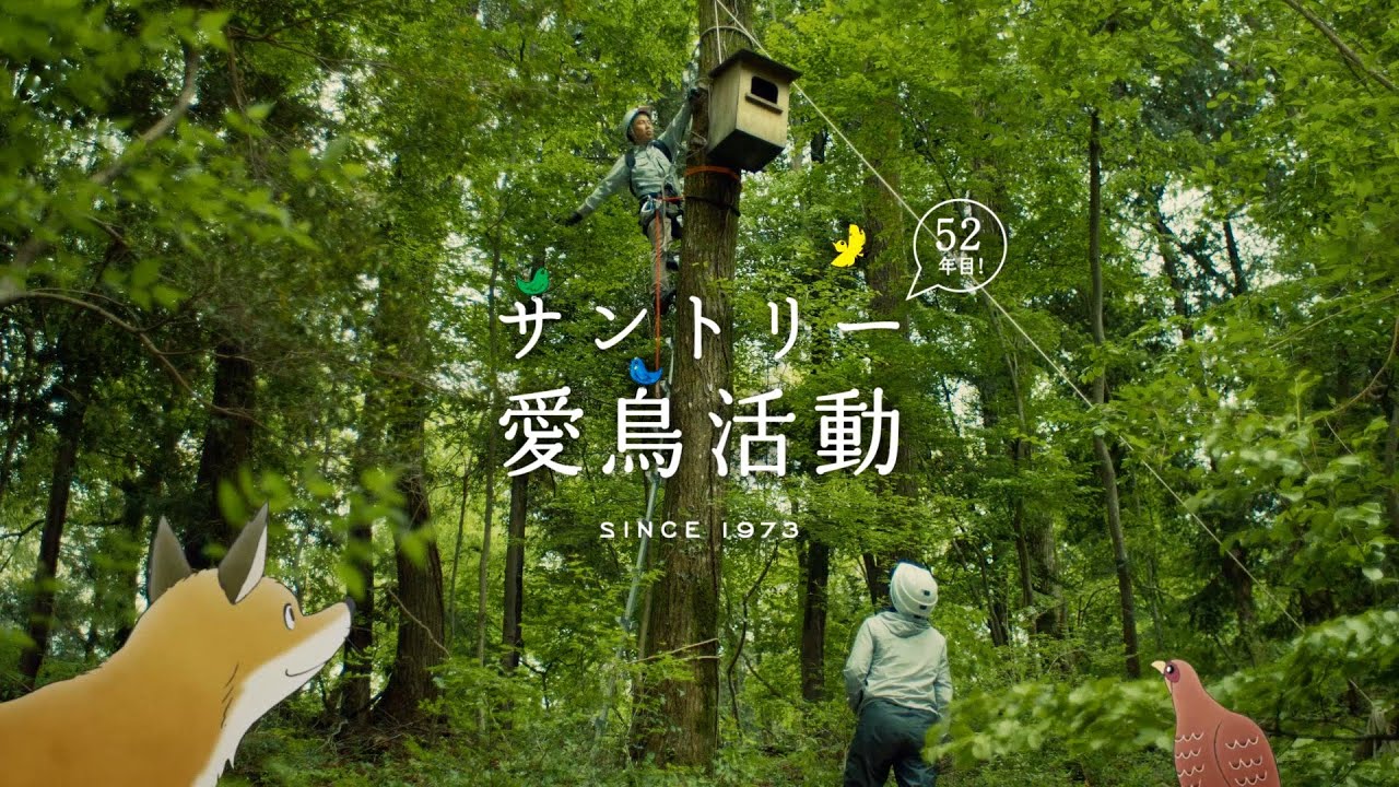企業広告「#素晴らしい過去になろう 愛鳥活動2024」篇 30秒 サントリー