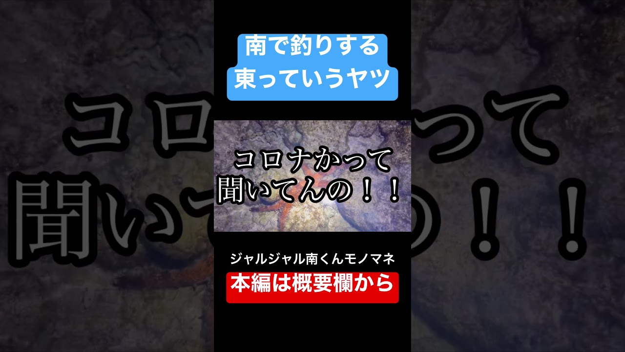 巨大ヤドカリとタコ食う動画ギュッってしたヤツ【ジャルジャル南くんモノマネ】