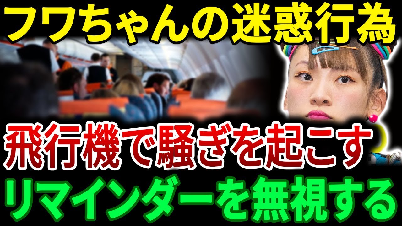 フワちゃんの問題行動で機内は大混乱…客室乗務員の注意を無視して周囲を不快にさせた。| JBizインサイダー