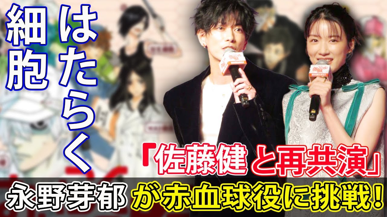 永野芽郁が赤血球役に挑戦！佐藤健と再共演#J-24h,#神谷明采, #東大, #ミス東大, #タレント,
