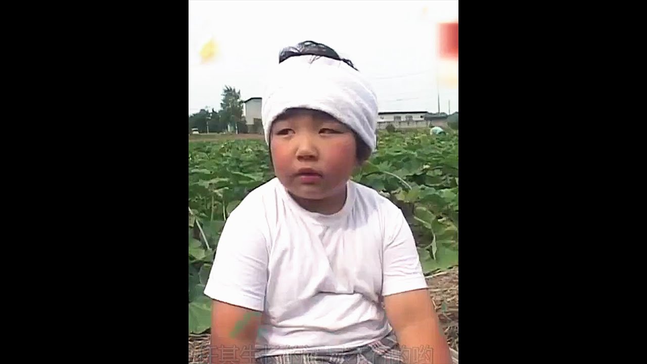 一口气看完热爱农业的小少年俊介的综艺纪录片故事