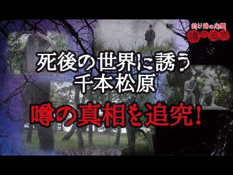 死後の世界に誘う！千本松原！噂の真相を追究！【釣り場の心霊噂の追究！第五回】