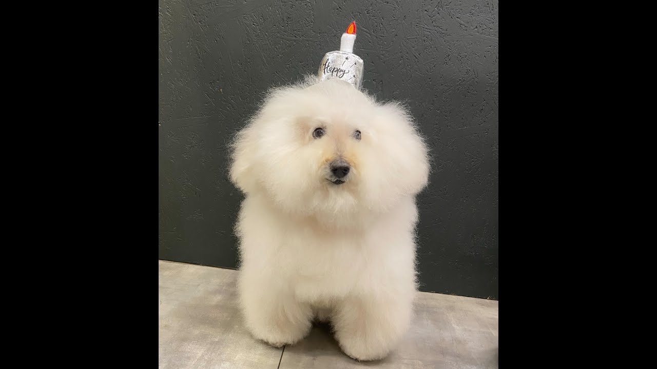 「野村誠一写真塾」ライブ配信　野村誠一 Nomura Seiichi official