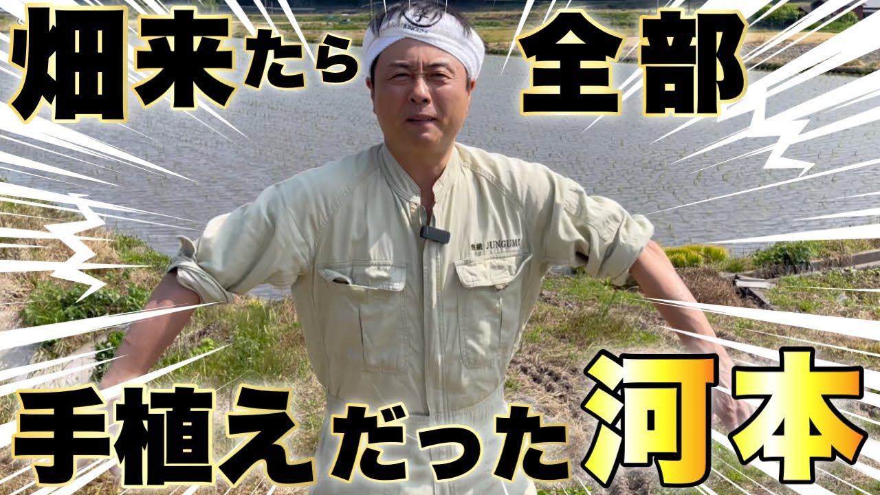 【河本準一】風に飛ばされそうな 田植えする河本 手植え 編