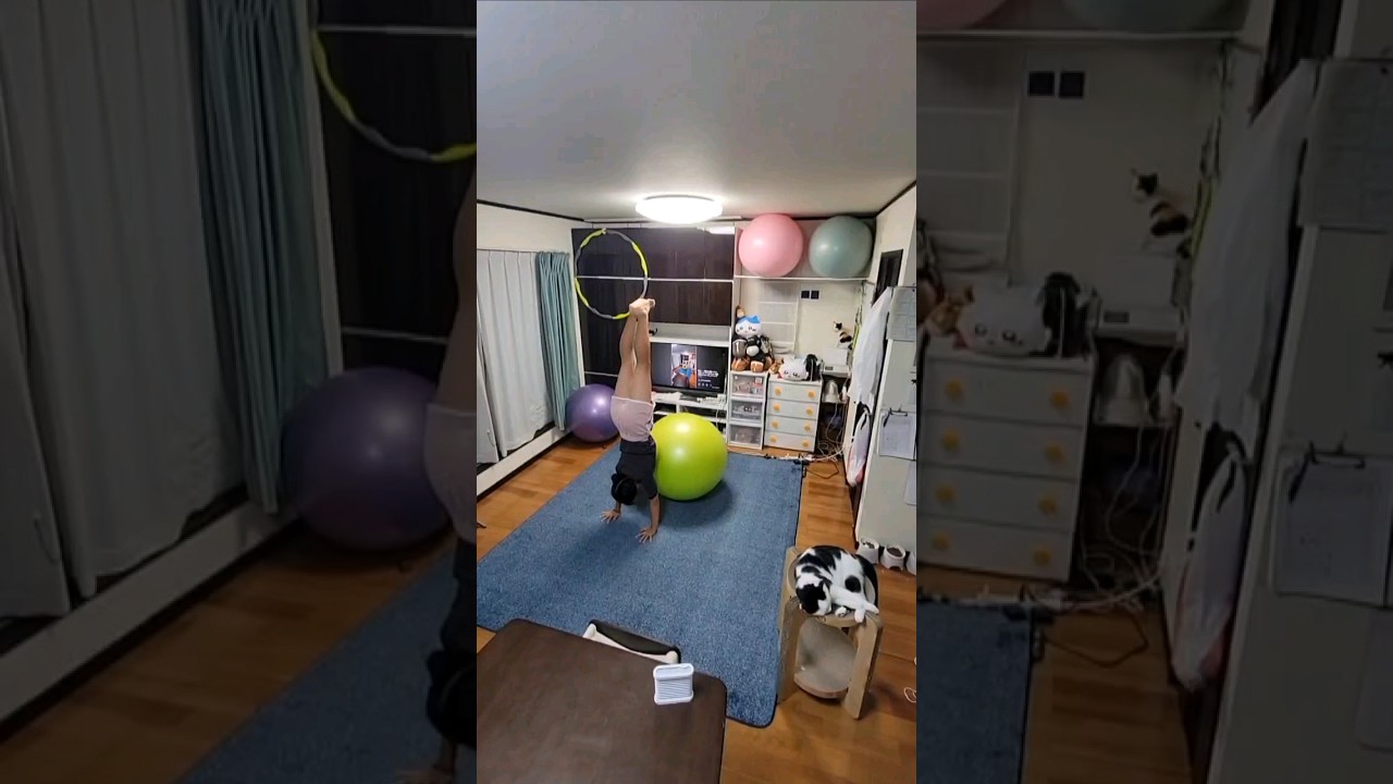 海の声 🎶 桐谷健太 (娘) バランスボール×アクロバット 楽曲を頭でイメージしアドリブ表現💪 #動じない猫達 #毎日更新 #体内時計 #体幹力 #リズム感 #バランス感覚