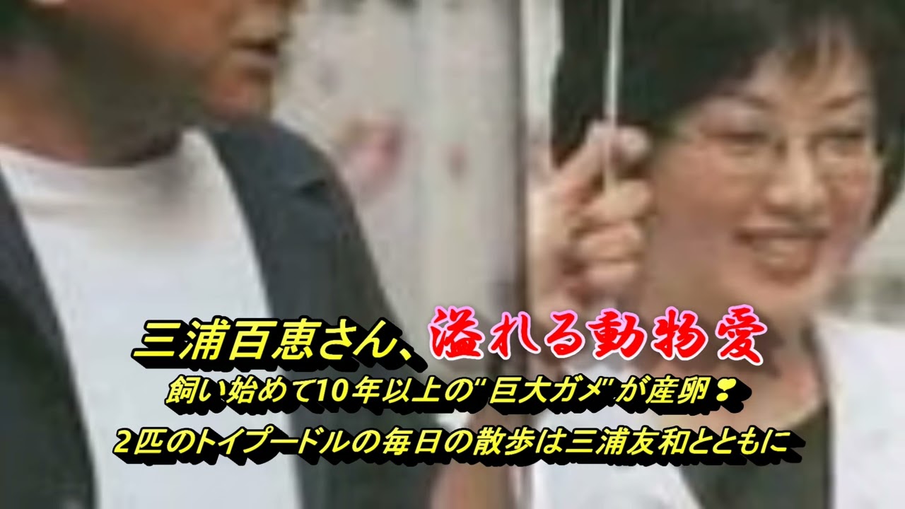 山口百惠の幸福生活【三浦百恵さん、飼い始めて10年以上の“巨大ガメ”が産卵　2匹のトイプードルの毎日の散歩は三浦友和とともに】《溢れる動物愛》