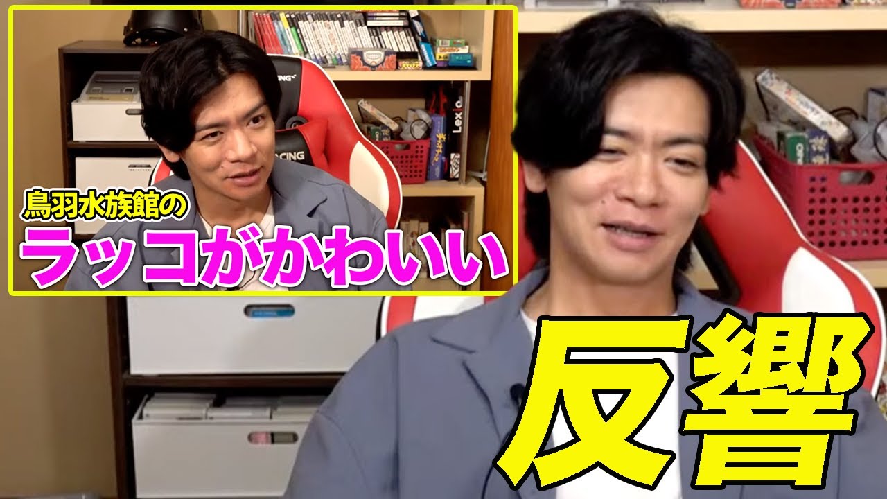 【鳥羽水族館】やっぱりキラメイかわいい♪【マヂラブ野田クリスタル】