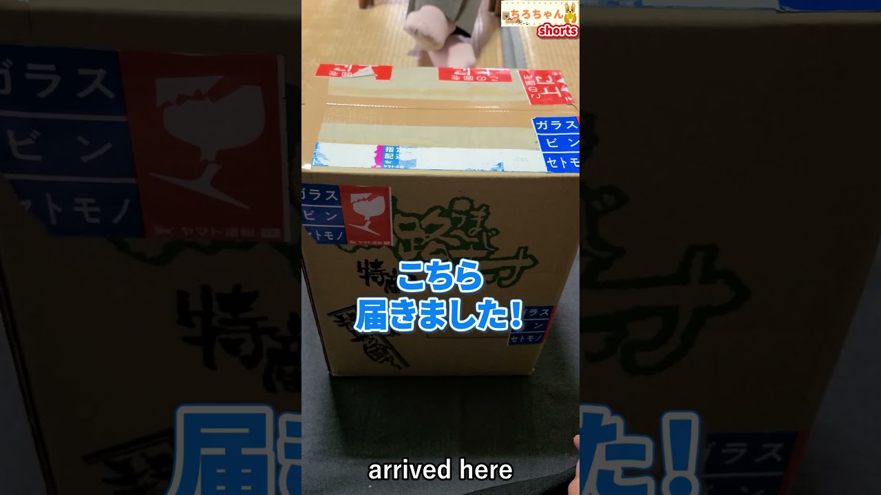 MISO WORK SHOPでの購入品と、イベントでのまさかの出来事を振り返って。＃shorts