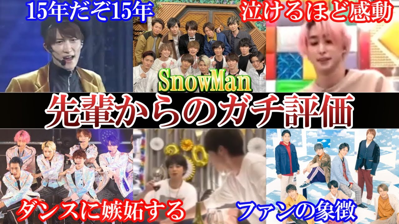 皆違うよ。SnowManの先輩からのガチ評価。ファンは○○を見る