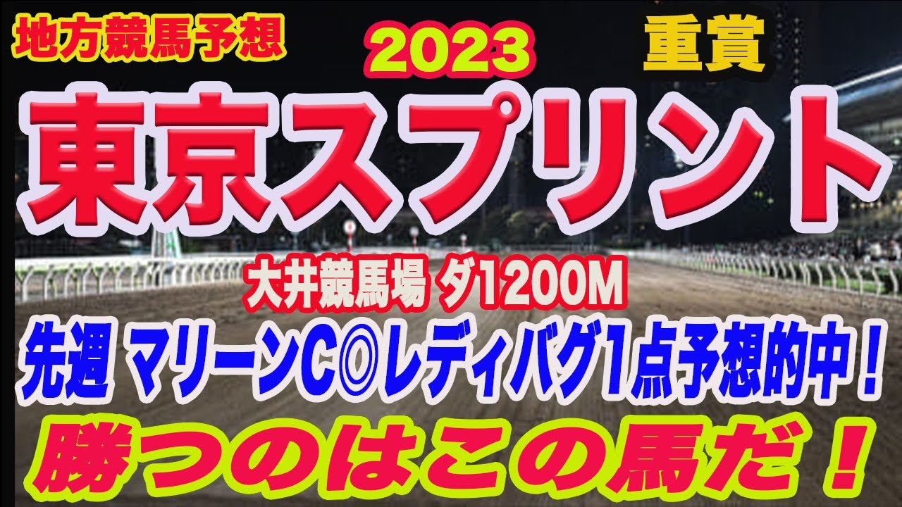 【 東京スプリント2023 予想 】地方競馬予想！先週マリーンC◎レディバグ○ペルアア1点予想推奨！東京スプリントの勝ち馬はこの馬だ！