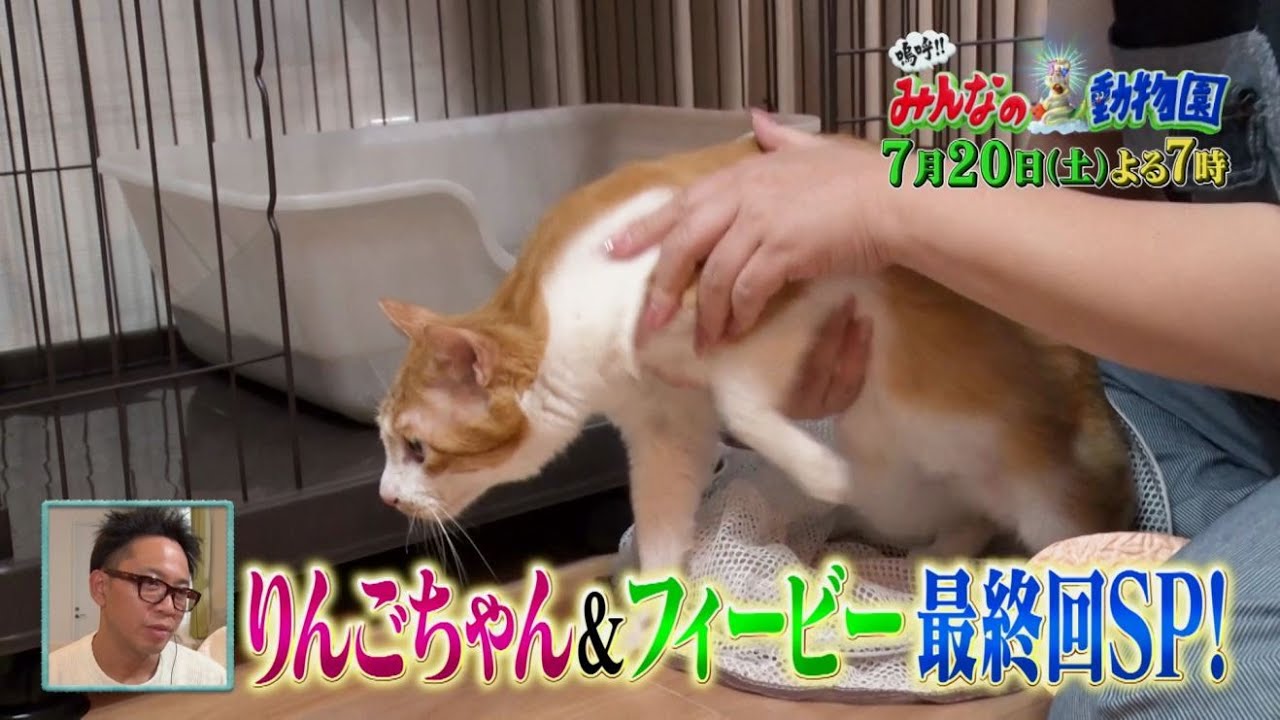 「嗚呼!!みんなの動物園」りんごちゃんとフィービー最終回SP‼